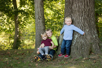 Enlarge photo 159