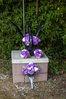 Enlarge photo 23