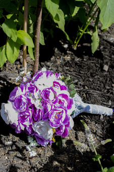 Enlarge photo 35