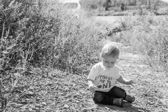 Enlarge photo 50
