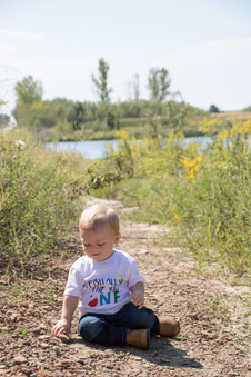 Enlarge photo 52
