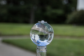 Enlarge photo 98