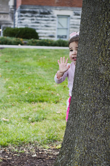 Enlarge photo 116