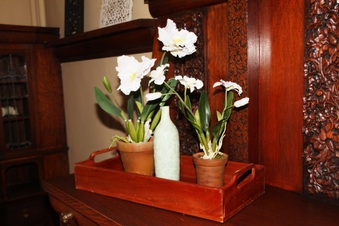 Enlarge photo 59