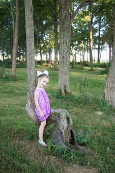 Enlarge photo 185
