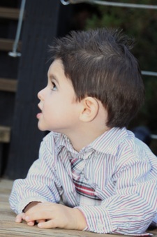 Enlarge photo 29