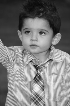 Enlarge photo 59