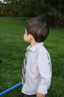 Enlarge photo 62