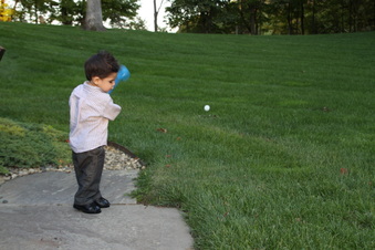 Enlarge photo 101