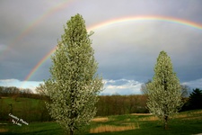 Enlarge photo 1