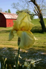 Enlarge photo 24