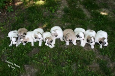 Enlarge photo 15