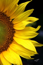 Enlarge photo 52