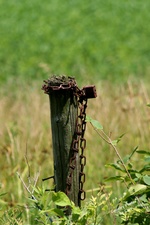 Enlarge photo 36