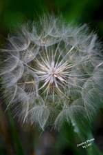 Enlarge photo 34