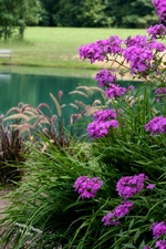 Enlarge photo 32