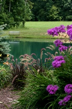 Enlarge photo 30
