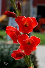 Enlarge photo 28