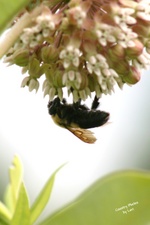 Enlarge photo 26