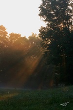 Enlarge photo 62
