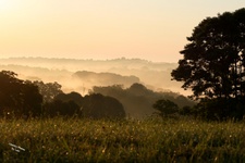 Enlarge photo 64
