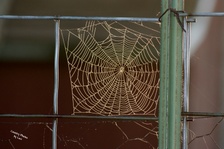 Enlarge photo 66