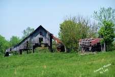 Enlarge photo 16