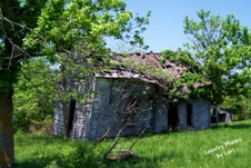 Enlarge photo 11