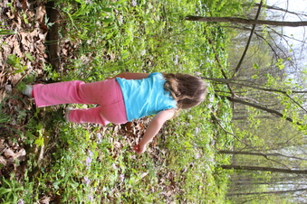 Enlarge photo 49