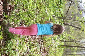 Enlarge photo 50