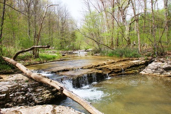 Enlarge photo 53