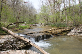 Enlarge photo 54