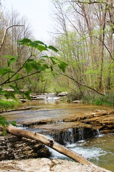 Enlarge photo 57