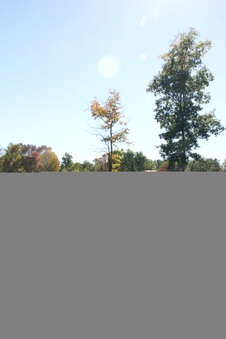 Enlarge photo 50