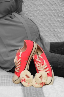 Enlarge photo 61
