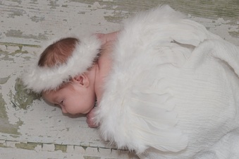 Enlarge photo 17