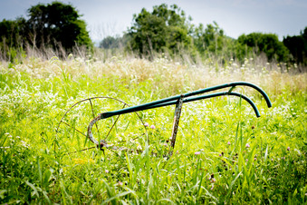 Enlarge photo 100