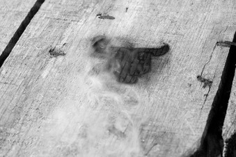 Enlarge photo 66