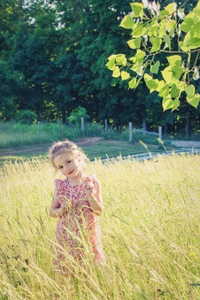 Enlarge photo 221