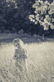 Enlarge photo 220