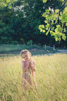 Enlarge photo 219