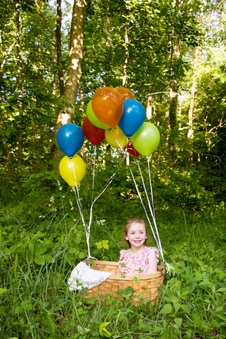 Enlarge photo 182