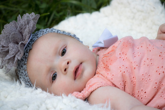 Enlarge photo 135