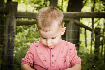Enlarge photo 54