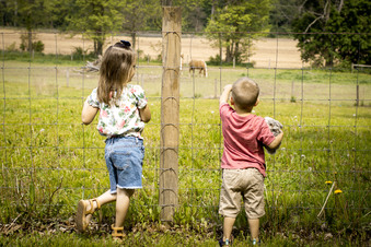 Enlarge photo 59