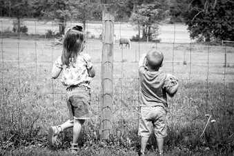 Enlarge photo 60