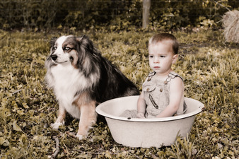 Enlarge photo 97