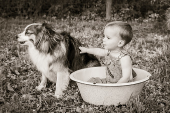 Enlarge photo 100