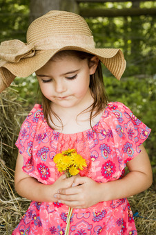 Enlarge photo 135