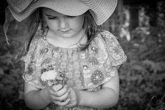 Enlarge photo 146